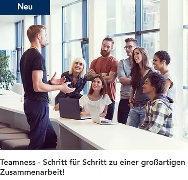 Teamness Kurs.png